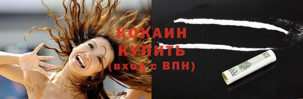 дмт Протвино