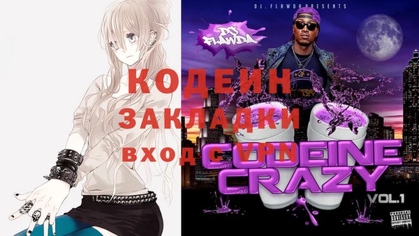 ГАЛЛЮЦИНОГЕННЫЕ ГРИБЫ Абаза