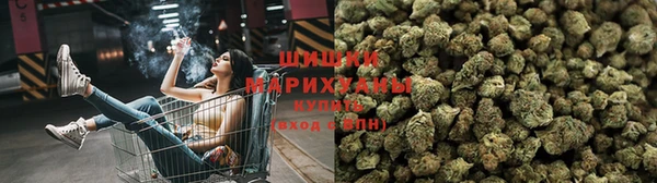 ГАЛЛЮЦИНОГЕННЫЕ ГРИБЫ Абаза