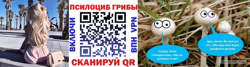 магазин    гидра ссылка  Галлюциногенные грибы GOLDEN TEACHER  Нерехта 